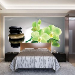 Wallpapers mural spa stones with green orchids