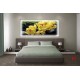 Photo mural spa stones and yellow orchids Photo mural spa stones and yellow orchids