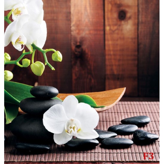 Wallpapers mural spa composition with orchids on brown background