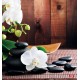 Wallpapers mural spa composition with orchids on brown background