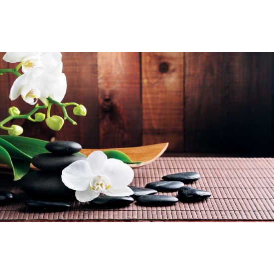 Wallpapers mural spa composition with orchids on brown background