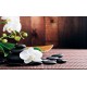 Wallpapers mural spa composition with orchids on brown background