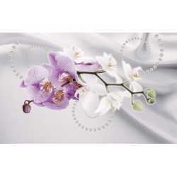 Photo mural twig orchid in 2 colors of silk background with pearls