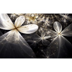 Wall mural abstract flowers in black-white