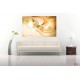 Wall murals composition of roses and ornaments in orange gamma Wall murals composition of roses and ornaments in orange gamma