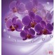 Wall murals 3d composition with purple orchids and diamonds