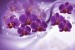 Wall murals 3d composition with purple orchids and diamonds