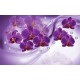 Wall murals 3d composition with purple orchids and diamonds