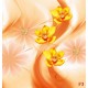 Wall murals 3d composition with orange orchids and butterflies Wall murals 3d composition with orange orchids and butterflies