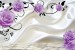 Wall murals pink or purple roses on white silk background 2 colors