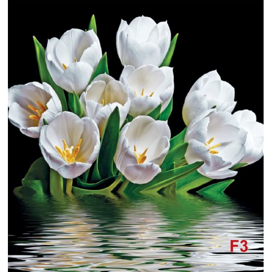 Photo mural bouquet tulips with water reflection black background Photo mural bouquet tulips with water reflection black background
