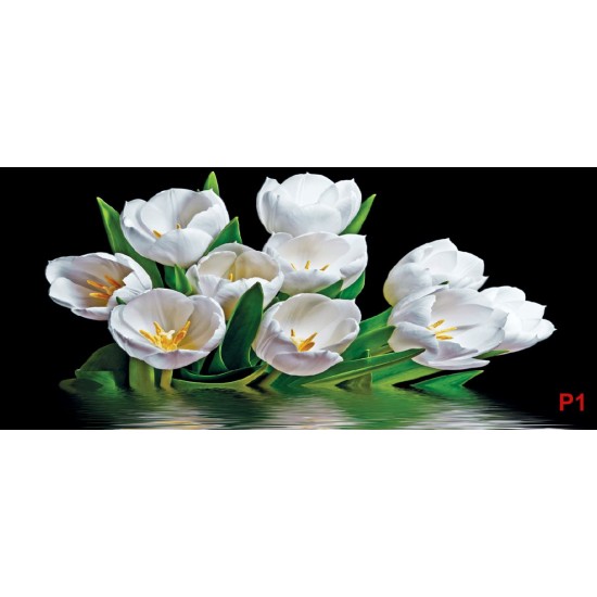Photo mural bouquet tulips with water reflection black background Photo mural bouquet tulips with water reflection black background