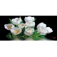 Photo mural bouquet tulips with water reflection black background Photo mural bouquet tulips with water reflection black background