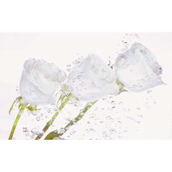 Wall murals crystal roses with water drops