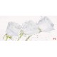Wall murals crystal roses with water drops