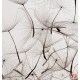 Wall murals gray dandelion scattered