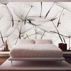 Wall murals gray dandelion scattered Wall murals gray dandelion scattered