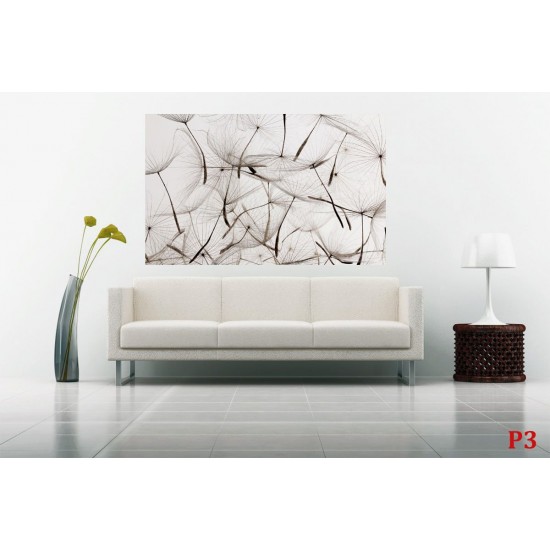 Wall murals gray dandelion scattered