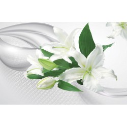 Wall murals white lilies on abstrackt background in 2 colors