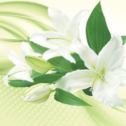 Wall murals white lilies on abstrackt background in 2 colors