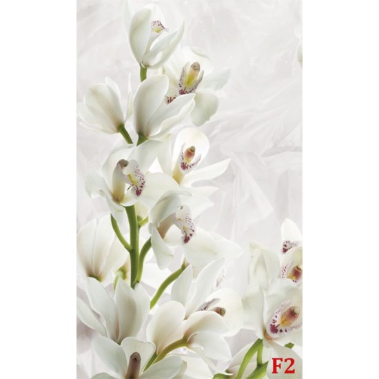 Wall murals cream orchids on wrinkled structure