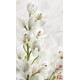 Wall murals cream orchids on wrinkled structure