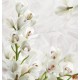 Wall murals cream orchids on wrinkled structure