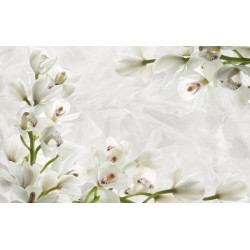 Wall murals cream orchids on wrinkled structure