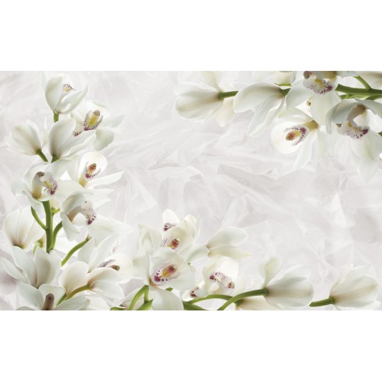 Wall murals cream orchids on wrinkled structure