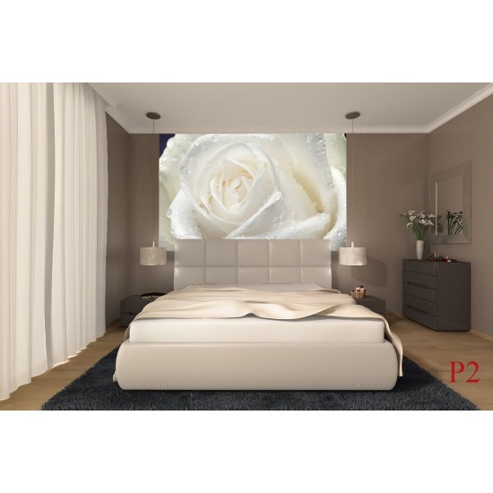 Wall mural big rose in cream colour