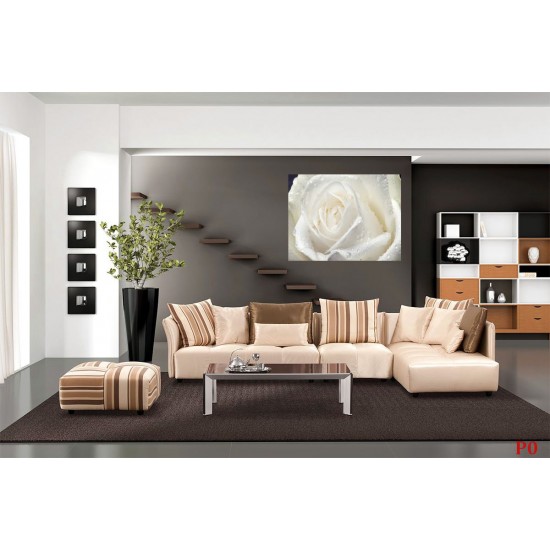 Wall mural big rose in cream colour
