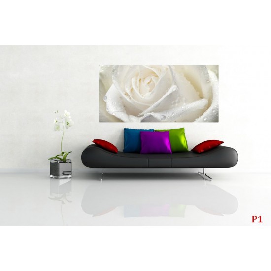 Wall mural big rose in cream colour