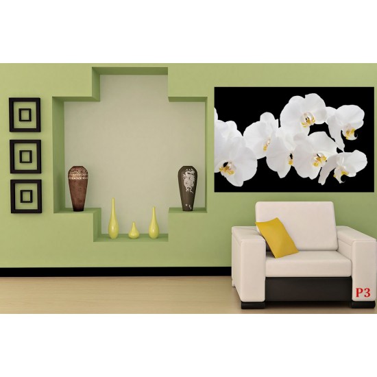 Wallpapers mural white orchids on black background