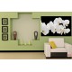 Wallpapers mural white orchids on black background