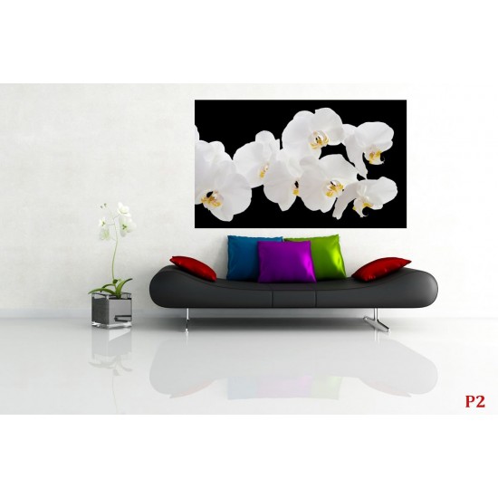 Wallpapers mural white orchids on black background