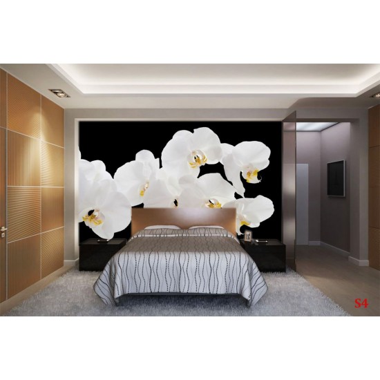 Wallpapers mural white orchids on black background