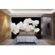 Wallpapers mural white orchids on black background