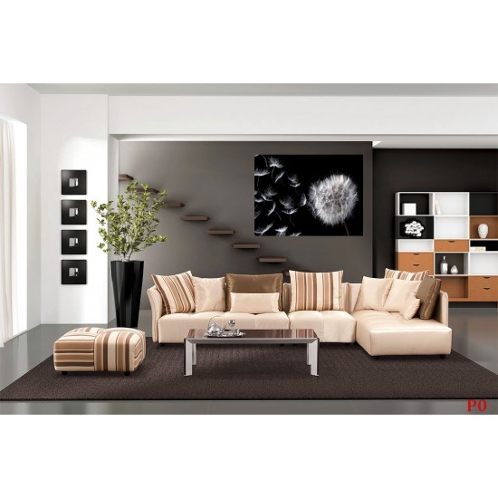 Photo mural dandelion in black background Photo mural dandelion in black background