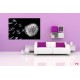 Photo mural dandelion in black background Photo mural dandelion in black background