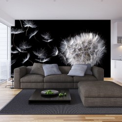 Photo mural dandelion in black background Photo mural dandelion in black background
