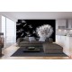 Photo mural dandelion in black background Photo mural dandelion in black background