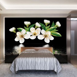 Wallpapers mural white spring blossom on a black background
