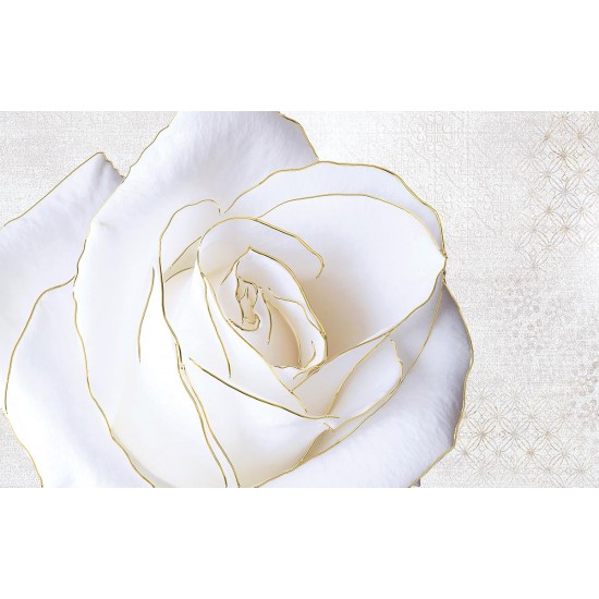 Photo mural large white rose with a gold border Photo mural large white rose with a gold border
