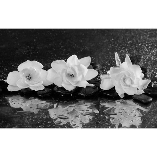 Wallpapers mural red roses and black spa stones