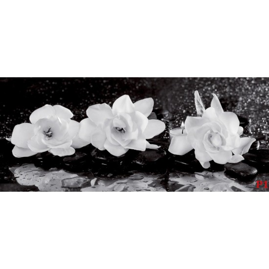 Wallpapers mural red roses and black spa stones