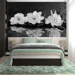 Wallpapers mural red roses and black spa stones