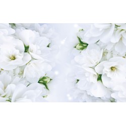 Wall murals delicate spring color in the gray tint