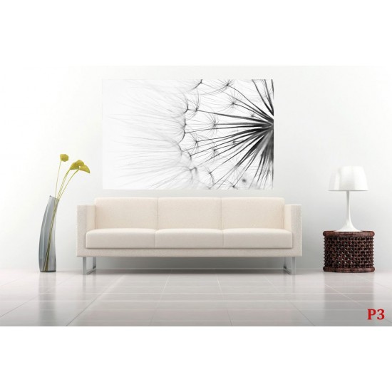 Wallpapers mural dandelion in grey gamut Wallpapers mural dandelion in grey gamut