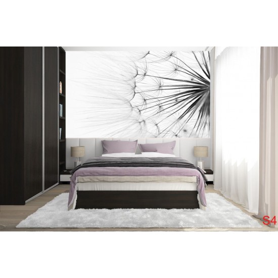 Wallpapers mural dandelion in grey gamut Wallpapers mural dandelion in grey gamut