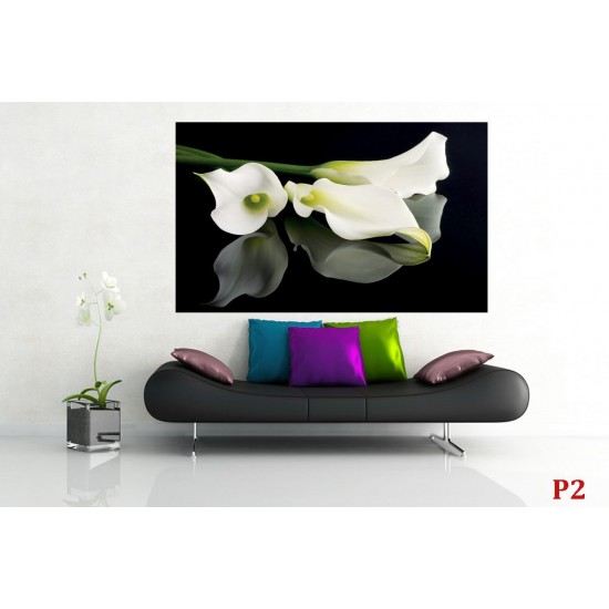 Photo mural white flowers on a black background mirror Photo mural white flowers on a black background mirror